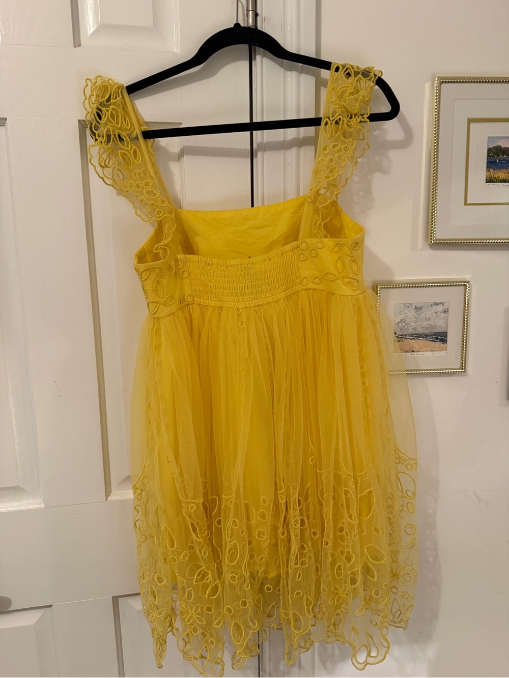 NWT Anthropologie Yellow Embroidered Tulle Mini Dress - Picture 4 of 5